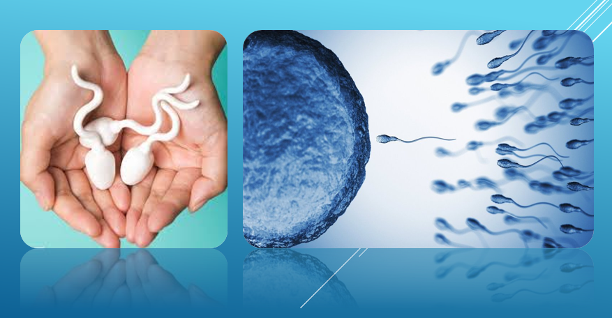 ‘७०% पुरुषमा यौन समस्या’ : किन मौन छन् पुरुषहरू?